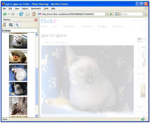 flickr